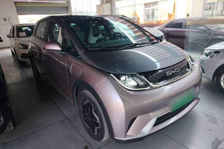 比亚迪 海豚 2021款 405km 自由版车身外观3