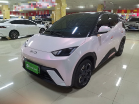 比亚迪 海鸥 2025款 305km 自由版