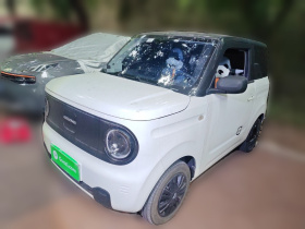 吉利银河 2024款 熊猫mini 200km 龙腾PRO版