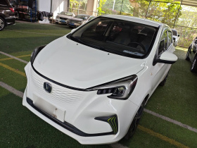 长安欧尚 奔奔E-Star 2021款 国民版 心悦版（快充版）磷酸铁锂（31.18kWh）