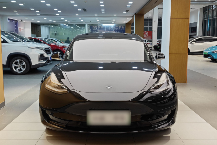 特斯拉 Model 3 2020款 标准续航后驱升级版车身外观6002