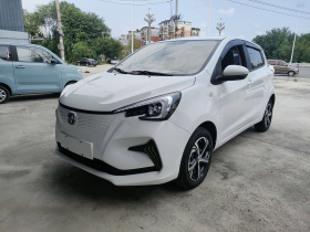 长安欧尚 奔奔E-Star 2020款 心动版 磷酸铁锂（31.18kWh）