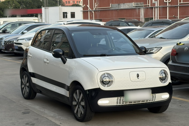 欧拉黑猫 2021款 351km 标准型车身外观6005