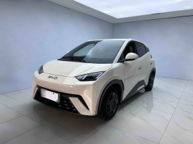 比亚迪 海鸥 2024款 荣耀版 305km 活力版