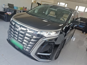 腾势D9 2024款 DM-i 980 四驱尊荣型