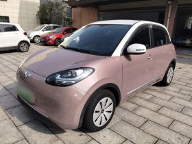 五菱汽车 五菱缤果 2023款 203km 轻享款