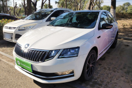 斯柯达 明锐 2019款 TSI280 DSG智行豪华版 国V