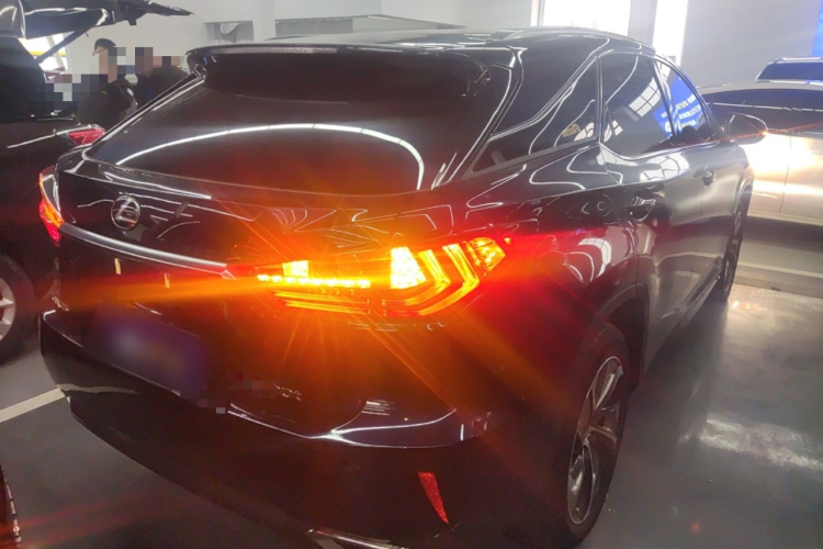 雷克萨斯RX 2016款 300 四驱典雅版 国V车身外观6005