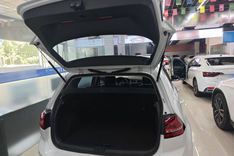 大众 高尔夫 2017款 230TSI 自动舒适百万辆纪念版局部细节23