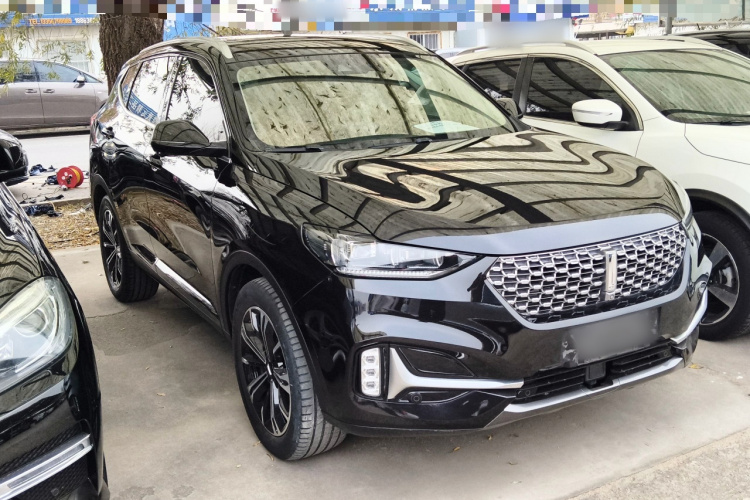 魏牌 VV6 2021款 2.0T 两驱智享+车身外观3