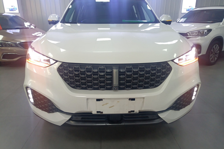 魏牌 VV6 2020款 2.0T 两驱智护+车身外观2