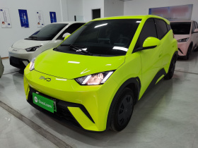 比亚迪 海鸥 2024款 荣耀版 305km 活力版