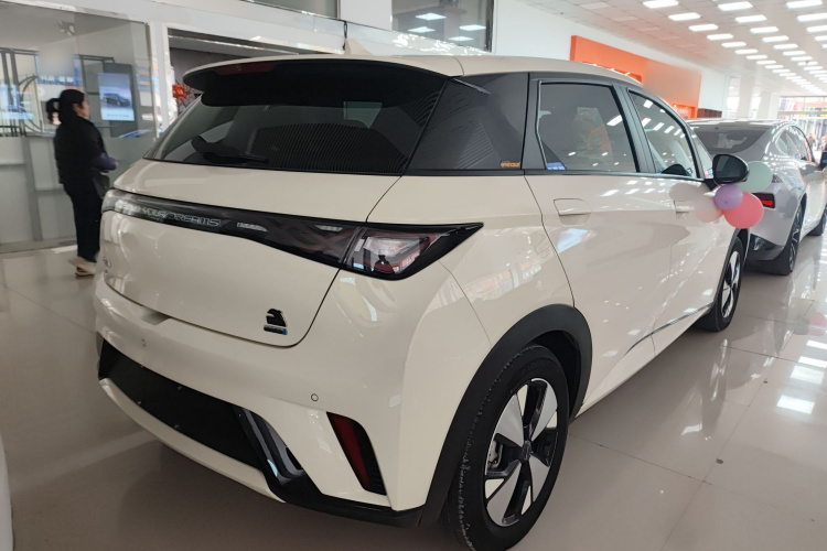 比亚迪 海豚 2023款 420km 时尚版车身外观7