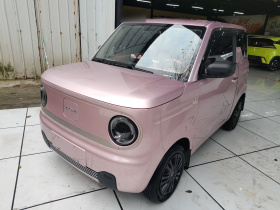 吉利银河 2023款 熊猫mini 200km 耐力熊