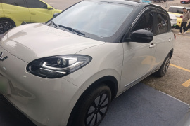 五菱汽车 五菱缤果 2023款 203km 轻享款