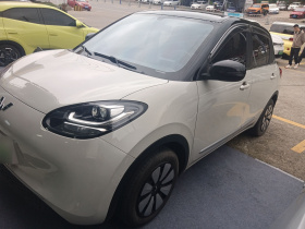 五菱汽车 五菱缤果 2023款 203km 轻享款