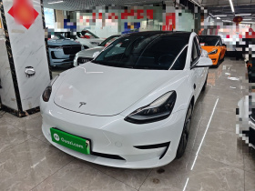 特斯拉 Model 3 2021款 改款 标准续航后驱升级版 3D1