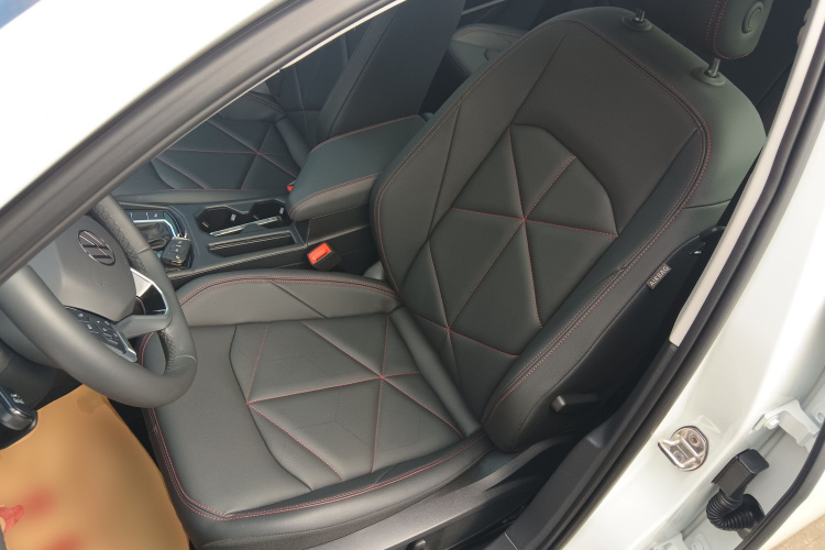 大众 朗逸 2024款 300TSI DSG星空领先版局部细节19