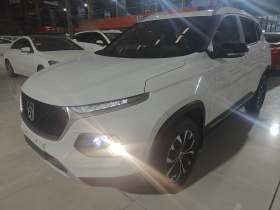 宝骏510 2019款 1.5L 自动优享型 国V