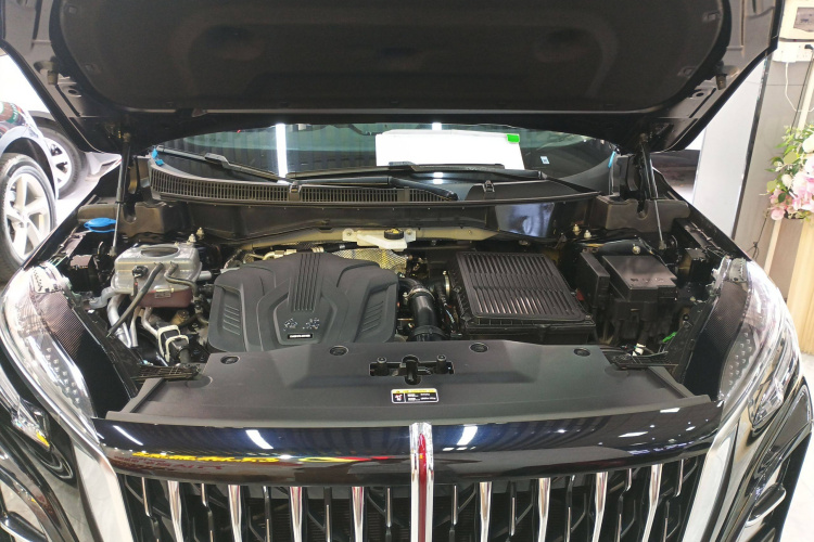 红旗HS3 PHEV 2024款 PHEV 115km 劲为版局部细节24