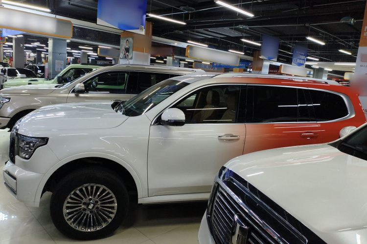 坦克500 2023款 3.0T 商务版 造境型 7座车身外观4