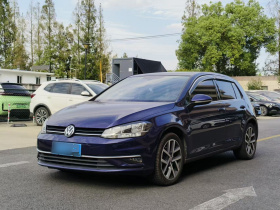 大众 高尔夫 2018款  230TSI 自动豪华型