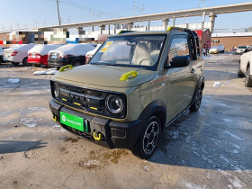 吉利银河 2025款 210km 熊猫骑士