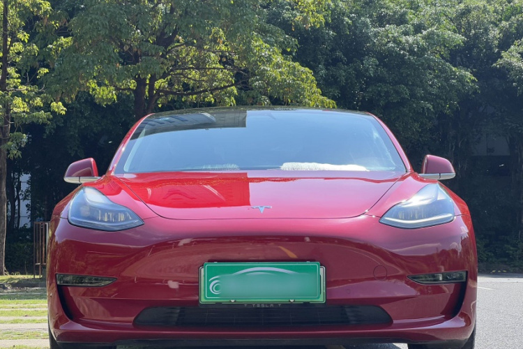 特斯拉 Model 3 2020款 改款 标准续航后驱升级版车身外观6006