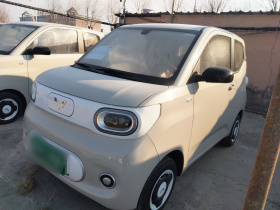 五菱汽车 宏光MINIEV 2024款 第三代 215km 青春版