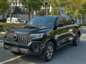 长城 炮 2023款 2.0T商用版自动柴油两驱精英型长箱GW4D20M