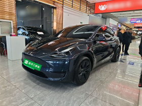 特斯拉 Model Y 2024款 后轮驱动版