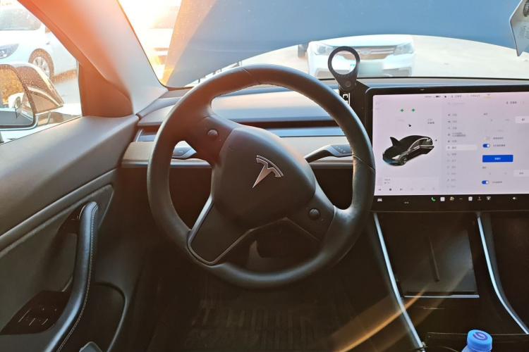 特斯拉 Model 3(进口) 2019款 长续航全轮驱动版中控内饰13