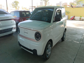 吉利银河 2024款 改款 熊猫mini 200km 龙腾版