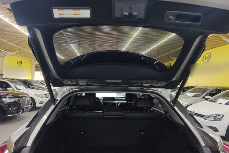 雷克萨斯RX 2016款 300 四驱典雅版 国V机舱底盘23