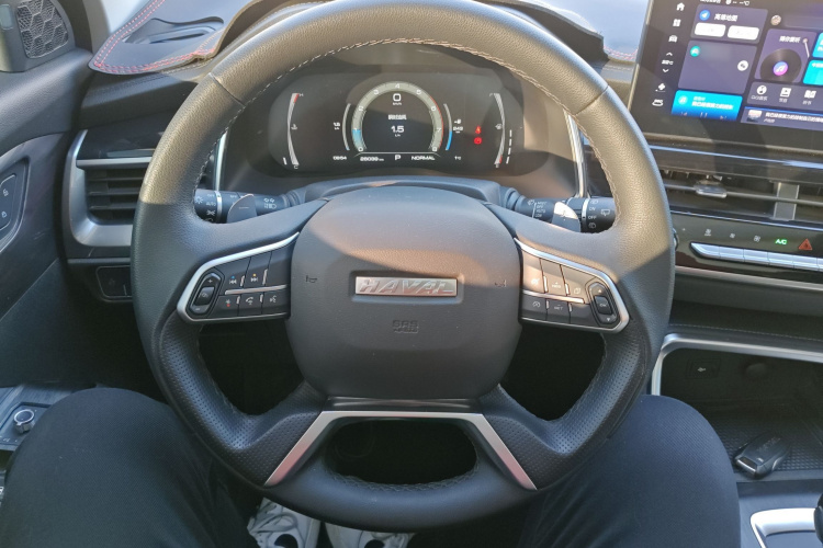 哈弗H6 2021款 国潮版 1.5GDIT 自动冠军版中控内饰13