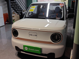 吉利银河 熊猫 2025款 210km 元气熊