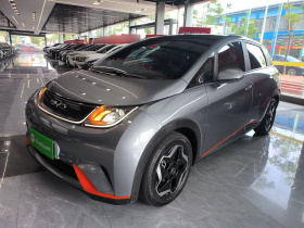 比亚迪 海豚 2021款 405km 时尚版