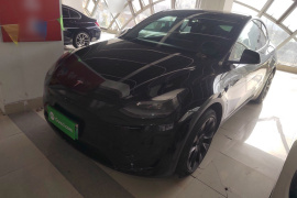 特斯拉 Model Y 2022款 后轮驱动版