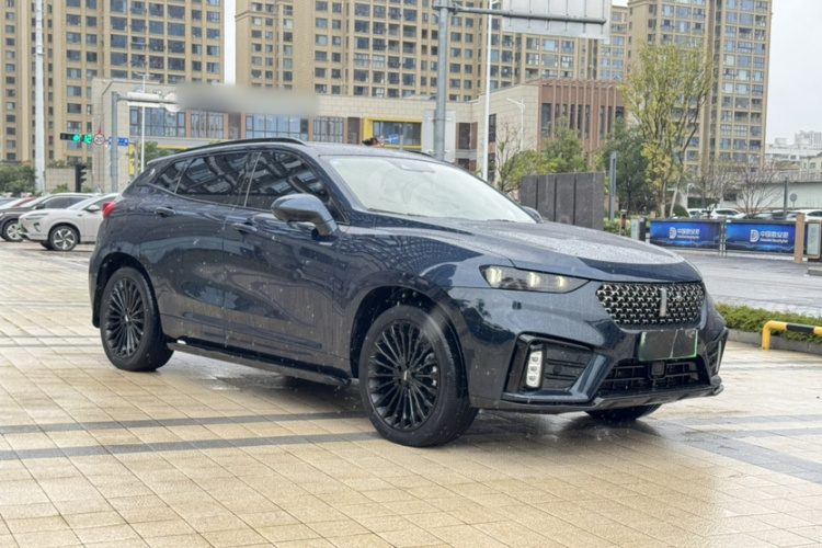 魏牌 VV7新能源 2020款 PHEV 2.0T 旗舰型车身外观6002