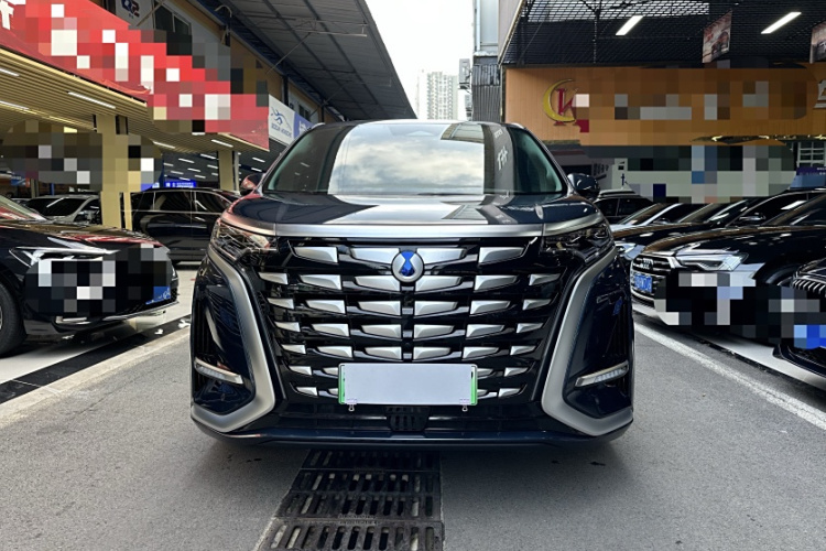 腾势D9 2022款 DM-i 970 四驱旗舰型车身外观6005