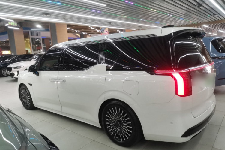 极氪009 2022款 改款 WE版车身外观4