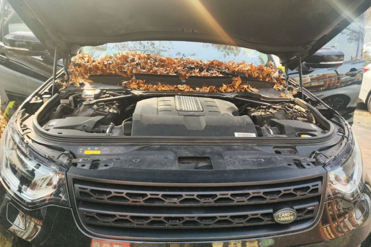 路虎 发现 2018款 3.0 SC V6 HSE局部细节24