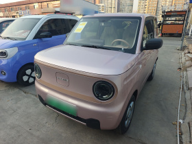 吉利银河 2024款 熊猫mini 200km 耐力熊