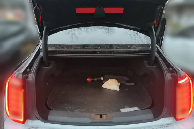 红旗H9 2020款 3.0T 智联旗领四座版中控内饰23