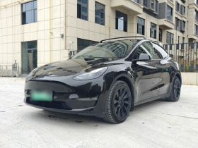 特斯拉 Model Y 2021款 标准续航后驱版