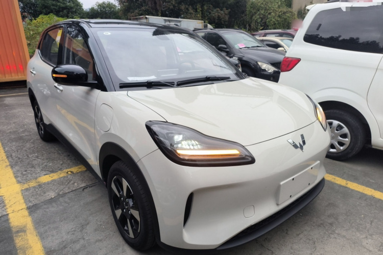 五菱汽车 五菱缤果PLUS 2024款 330km 五座版车身外观3