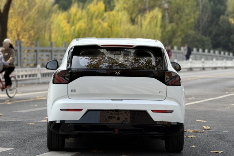 ARCFOX极狐 极狐T1 2025款 425 PRO车身外观6001