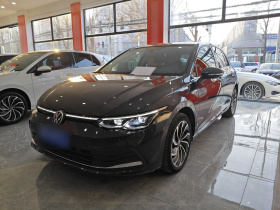 大众 高尔夫 2021款 280TSI DSG Pro