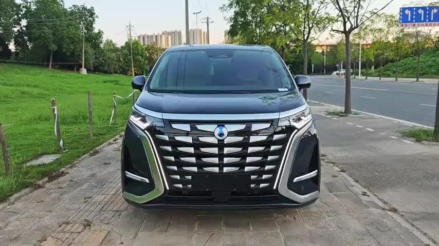 腾势D9 2024款 DM-i 980 四驱旗舰型实拍1