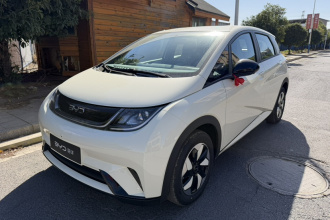 比亚迪 海豚 2025款 420km 自由版